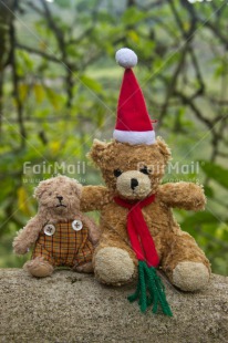 Fair Trade Photo Christmas, Colour image, Peru, South America, Teddybear, Vertical