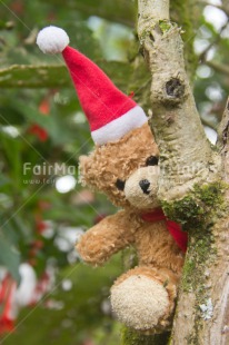 Fair Trade Photo Christmas, Colour image, Peru, South America, Teddybear, Vertical