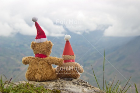 Fair Trade Photo Christmas, Colour image, Horizontal, Peru, South America, Teddybear