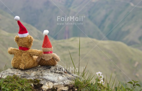 Fair Trade Photo Christmas, Colour image, Horizontal, Peru, South America, Teddybear