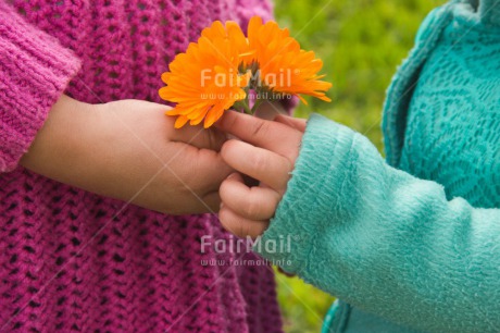 Fair Trade Photo Activity, Colour image, Flower, Food and alimentation, Fruits, Giving, Horizontal, Orange, Peru, South America, Sustainability, Values