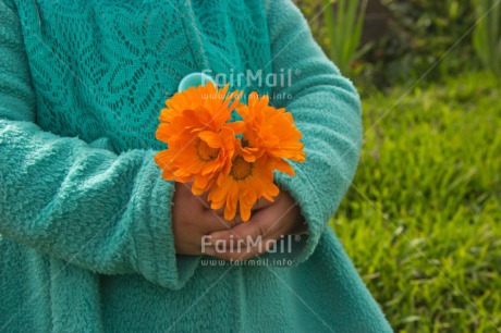 Fair Trade Photo Activity, Colour image, Flower, Food and alimentation, Fruits, Giving, Horizontal, Orange, Peru, South America, Sustainability, Values