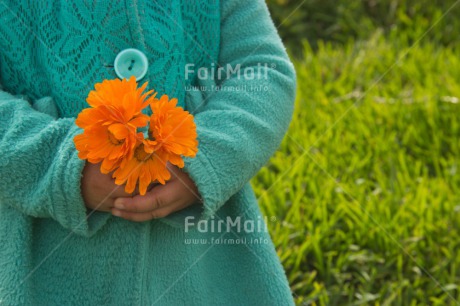 Fair Trade Photo Activity, Colour image, Flower, Food and alimentation, Fruits, Giving, Horizontal, Orange, Peru, South America, Sustainability, Values