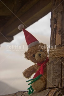 Fair Trade Photo Christmas, Colour image, Cute, Hat, Peru, South America, Teddybear, Vertical