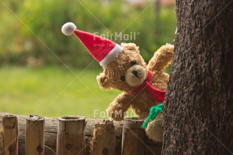 Fair Trade Photo Christmas, Colour image, Cute, Hat, Horizontal, Peru, South America, Teddybear