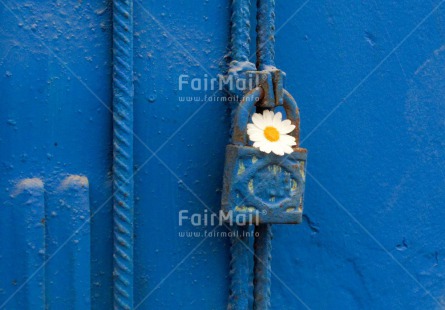 Fair Trade Photo Blue, Colour image, Daisy, Door, Flower, Horizontal, House, New home, Peru, South America