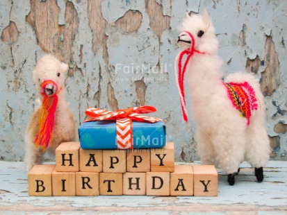 Fair Trade Photo Animals, Birthday, Cake, Colour image, Gift, Horizontal, Indoor, Letters, Llama, Peru, South America, Text, Wood