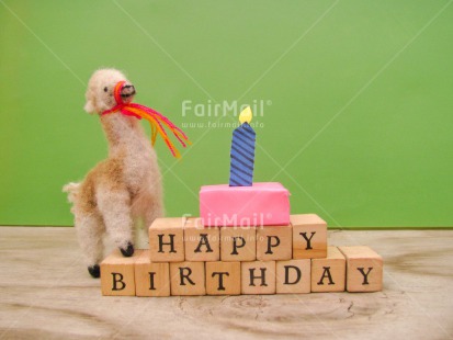 Fair Trade Photo Animals, Birthday, Cake, Candle, Colour image, Gift, Horizontal, Indoor, Letters, Llama, Peru, South America, Text, Wood