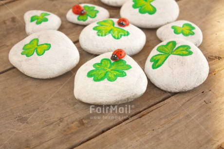 Fair Trade Photo Clover, Colour image, Exams, Good luck, Green, Horizontal, Indoor, Ladybug, New Job, Peru, South America, Stone, White, Wood