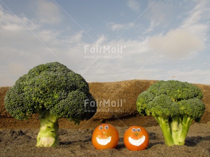 Fair Trade Photo Brocolli, Colour image, Food and alimentation, Fruits, Funny, Get well soon, Health, Mandarin, Peru, Smile, South America, Tree