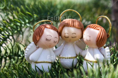 Fair Trade Photo Angel, Christmas, Colour image, Friendship, Green, Horizontal, Peru, South America, Together, Tree, White