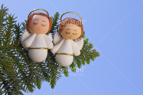 Fair Trade Photo Angel, Christmas, Colour image, Friendship, Green, Horizontal, Peru, South America, Together, Tree, White