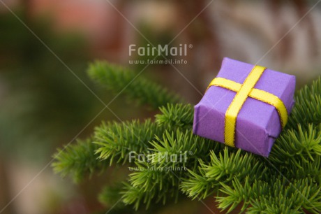 Fair Trade Photo Christmas, Closeup, Colour image, Gift, Green, Horizontal, Peru, Purple, South America, Tree
