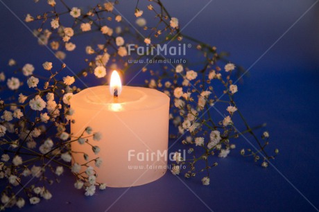 Fair Trade Photo Blue, Candle, Christmas, Closeup, Colour image, Condolence-Sympathy, Flame, Flower, Horizontal, Peru, Shooting style, South America, White