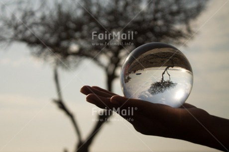 Fair Trade Photo Artistique, Colour image, Evening, Glass, Horizontal, Peru, South America, Sunset, Transparent, Tree