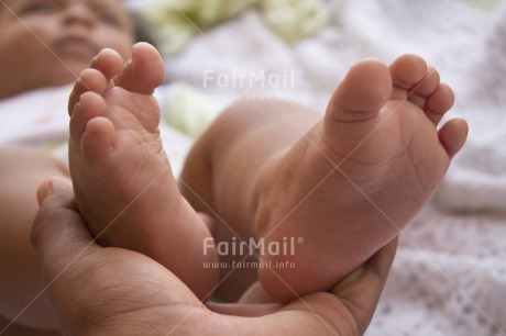 Fair Trade Photo Baby, Birth, Closeup, Colour image, Cute, Foot, Horizontal, New baby, People, Peru, Shooting style, South America