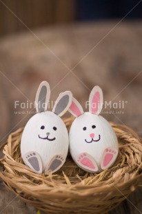 Fair Trade Photo Animals, Colour image, Easter, Egg, Friendship, Peru, Rabbit, Smile, South America, Together, Vertical