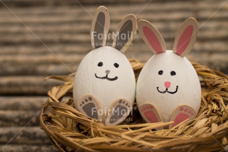 Fair Trade Photo Animals, Colour image, Easter, Egg, Food and alimentation, Friendship, Horizontal, Rabbit