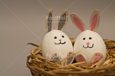 Fair Trade Photo Animals, Colour image, Easter, Egg, Food and alimentation, Friendship, Horizontal, Rabbit