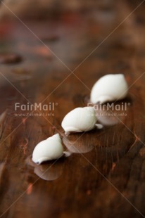 Fair Trade Photo Colour image, Condolence-Sympathy, Peru, Reflection, Shell, South America, Vertical, Water, White