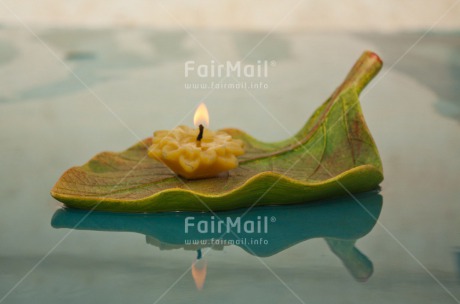 Fair Trade Photo Candle, Colour image, Condolence-Sympathy, Horizontal, Leaf, Peru, South America, Thinking of you
