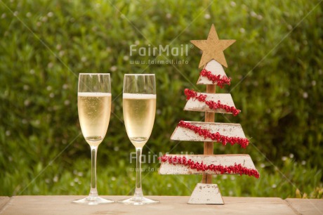 Fair Trade Photo Champagne, Christmas, Colour image, Horizontal, Peru, South America, Star, Tree