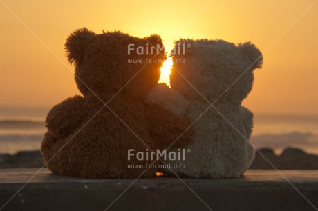 Fair Trade Photo Colour image, Friendship, Horizontal, Love, Peru, Sea, South America, Sunset, Teddybear, Together, Valentines day