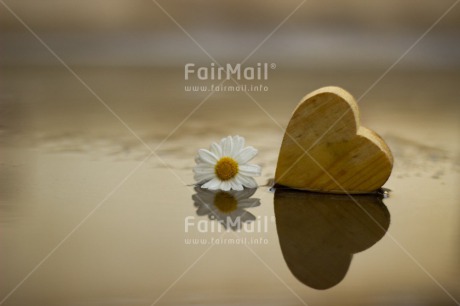 Fair Trade Photo Condolence-Sympathy, Heart, Love, Miss you, Reflection, Thinking of you, Water