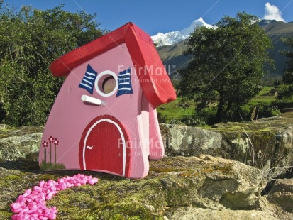 Fair Trade Photo Birdhouse, Colour image, Congratulations, Day, Horizontal, House, New home, Outdoor, Peru, Pink, Red, Rural, Seasons, Sky, South America, Summer, Tree, Welcome home