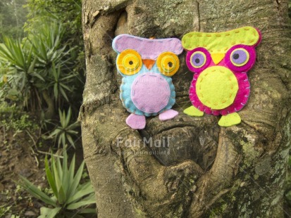 Fair Trade Photo Animals, Bird, Colour image, Colourful, Focus on foreground, Friendship, Horizontal, Nature, Outdoor, Owl, Peru, South America, Tabletop, Together, Tree
