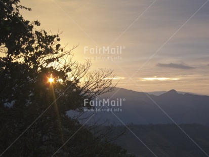 Fair Trade Photo Colour image, Evening, Horizontal, Mountain, Nature, Outdoor, Peru, Scenic, South America, Travel, Tree