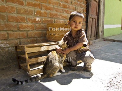 Fair Trade Photo Activity, Animals, Care, Cat, Colour image, Day, Horizontal, One boy, Outdoor, People, Peru, Portrait fullbody, Responsibility, Sitting, South America, Street, Streetlife, Values