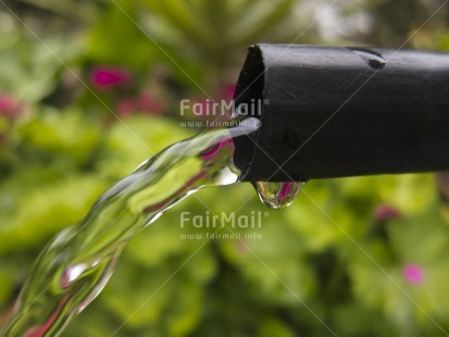 Fair Trade Photo Closeup, Colour image, Day, Environment, Focus on foreground, Health, Horizontal, Moving, Outdoor, Peru, Sanitation, South America, Sustainability, Values, Water