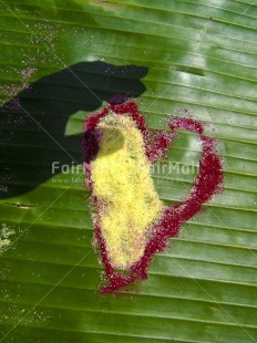 Fair Trade Photo Artistique, Colour image, Friendship, Green, Hand, Heart, Leaf, Love, Peru, Plant, Red, Shadow, South America, Thinking of you, Vertical, Warmth, Welcome home, Yellow