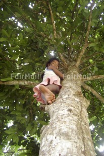 Fair Trade Photo Activity, Climbing, Colour image, Green, Low angle view, Nature, One girl, Outdoor, People, Peru, Playing, Rural, South America, Tree, Vertical