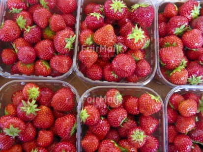 Fair Trade Photo Colour image, Day, Food and alimentation, Fruits, Fullframe, Get well soon, Health, Horizontal, Outdoor, Peru, South America, Strawberry