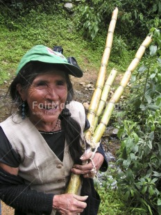 Fair Trade Photo Activity, Agriculture, Casual clothing, Clothing, Colour image, Day, Farmer, Green, Hat, Looking away, Nature, Old age, One woman, Outdoor, People, Peru, Portrait halfbody, Rural, Smiling, South America, Sugarcane, Vertical, Work