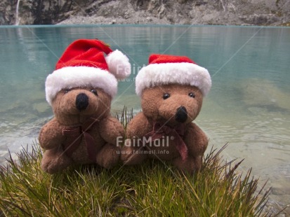 Fair Trade Photo Christmas, Colour image, Friendship, Horizontal, Outdoor, Peru, South America, Tabletop, Teddybear, Together, Water