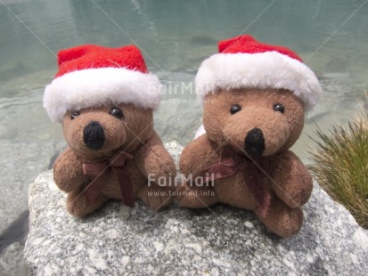 Fair Trade Photo Christmas, Colour image, Friendship, Horizontal, Outdoor, Peru, South America, Tabletop, Teddybear, Together, Water