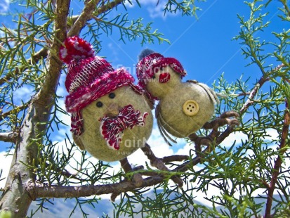 Fair Trade Photo Animals, Bird, Christmas, Colour image, Friendship, Horizontal, Multi-coloured, Outdoor, Owl, Peru, Seasons, South America, Tabletop, Together, Tree, Winter