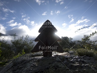 Fair Trade Photo Backlit, Christmas, Colour image, Horizontal, Nature, Outdoor, Peru, Silhouette, South America, Sun, Sunset, Tabletop, Tree