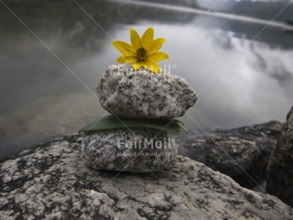 Fair Trade Photo Balance, Colour image, Flower, Focus on foreground, Horizontal, Nature, Outdoor, Peru, South America, Spirituality, Stone, Tabletop, Water, Wellness, Yellow