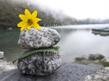 Fair Trade Photo Balance, Colour image, Flower, Focus on foreground, Horizontal, Nature, Outdoor, Peru, South America, Spirituality, Stone, Tabletop, Water, Wellness, Yellow