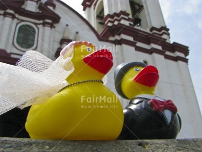 Fair Trade Photo Animals, Church, Colour image, Duck, Horizontal, Love, Marriage, Outdoor, Peru, Religion, South America, Tabletop