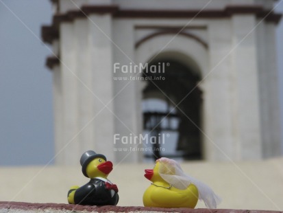 Fair Trade Photo Animals, Church, Colour image, Duck, Focus on foreground, Horizontal, Love, Marriage, Outdoor, Peru, Religion, South America, Tabletop