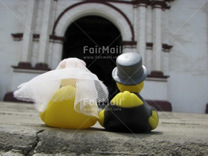 Fair Trade Photo Animals, Church, Colour image, Duck, Focus on foreground, Horizontal, Love, Marriage, Outdoor, Peru, South America, Tabletop