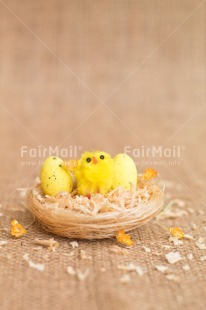 Fair Trade Photo Adjective, Animals, Chick, Colour, Easter, Egg, Food and alimentation, Nest, New baby, Object, Vertical, Yellow