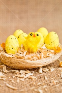 Fair Trade Photo Adjective, Animals, Chick, Colour, Easter, Egg, Food and alimentation, Nest, New baby, Object, Vertical, Yellow