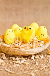 Fair Trade Photo Adjective, Animals, Chick, Colour, Easter, Egg, Food and alimentation, Nest, New baby, Object, Vertical, Yellow