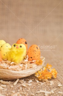 Fair Trade Photo Adjective, Animals, Chick, Colour, Easter, Egg, Food and alimentation, Fruits, Nest, New baby, Object, Orange, Vertical, Yellow